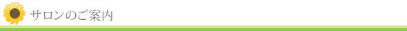 サロンのご案内